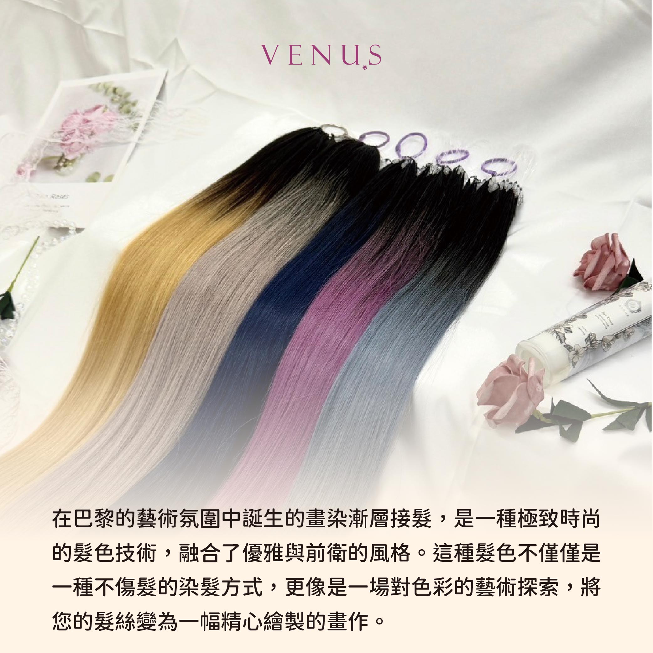 【 Venus 維娜絲專業髮品】極致漸層畫染  巴黎畫染漸層接髮 ★ 賦予髮色新的輝煌