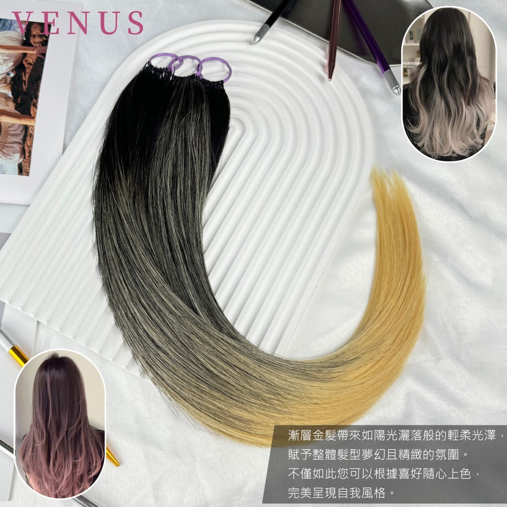 【 Venus 維娜絲專業髮品】極致漸層畫染  巴黎畫染漸層接髮 ★ 賦予髮色新的輝煌