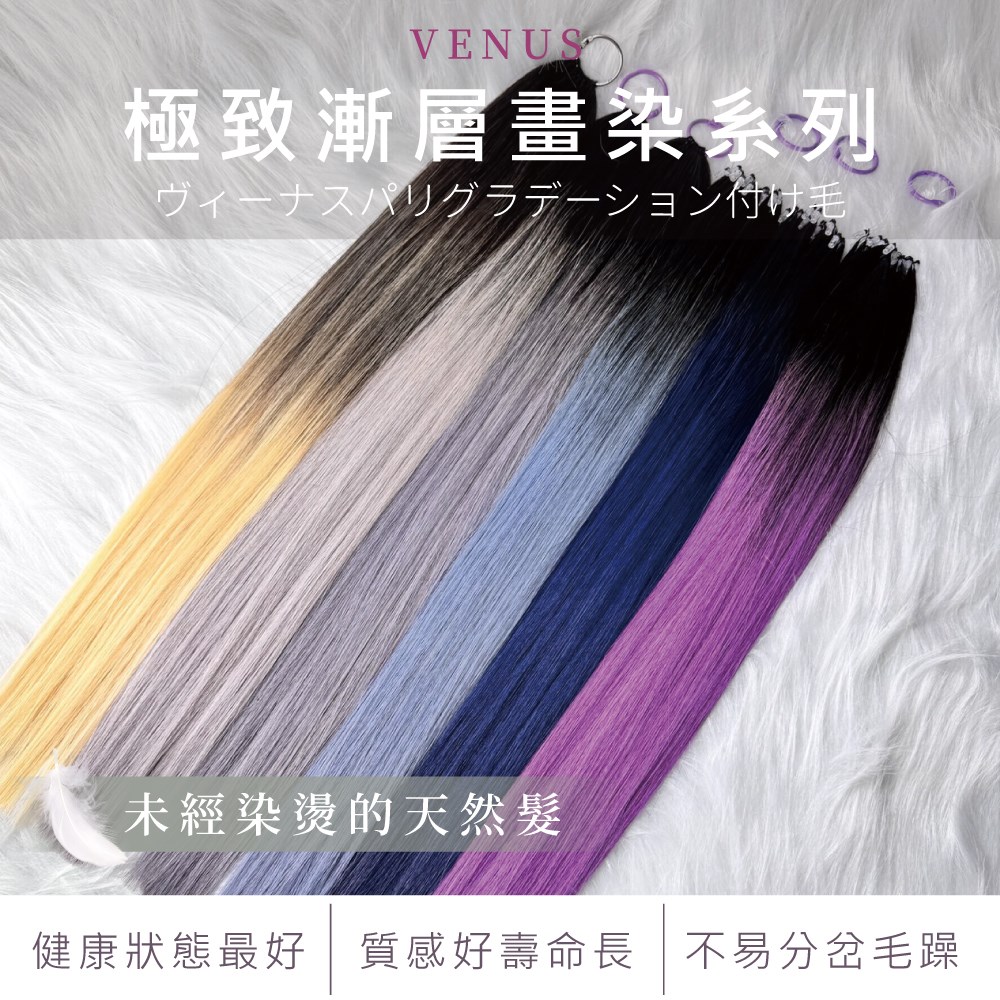 【 Venus 維娜絲專業髮品】極致漸層畫染  巴黎畫染漸層接髮 ★ 賦予髮色新的輝煌