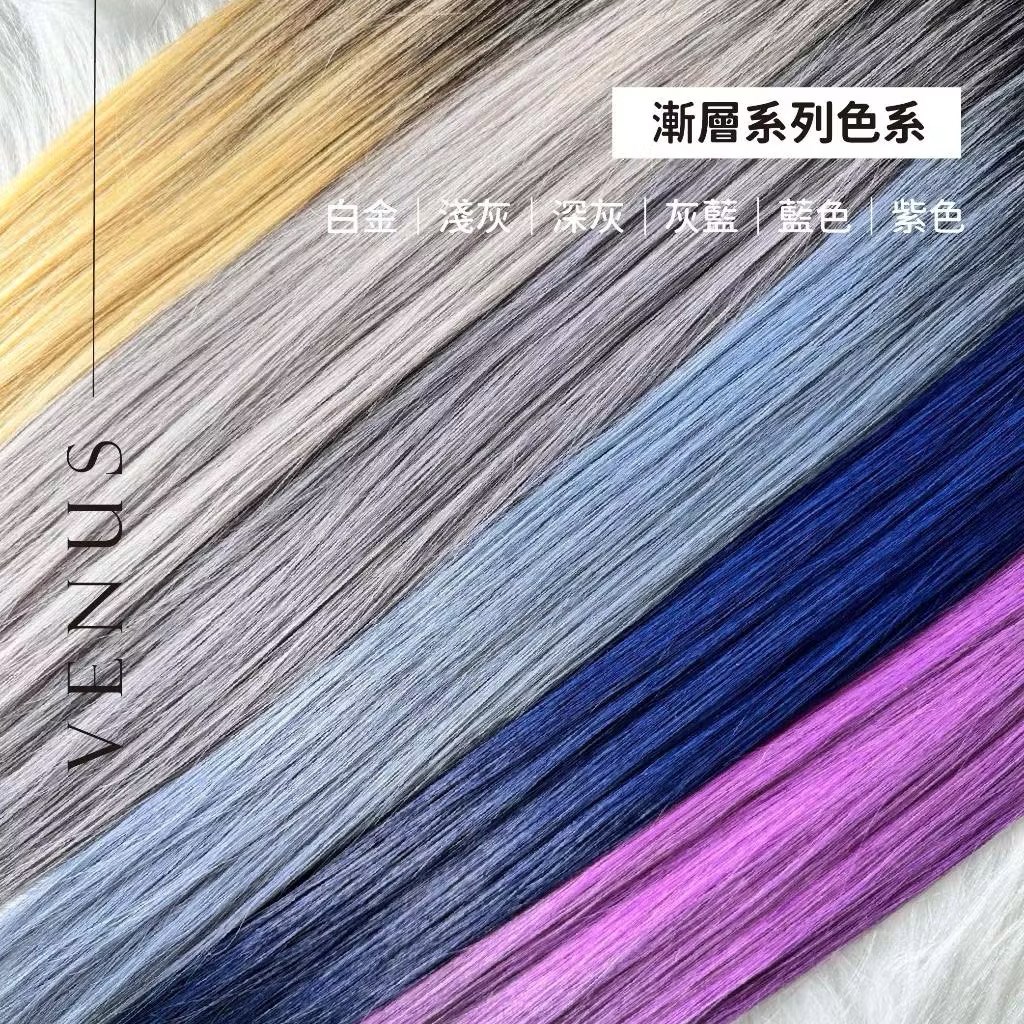 【 Venus 維娜絲專業髮品】極致漸層畫染  巴黎畫染漸層接髮 ★ 賦予髮色新的輝煌