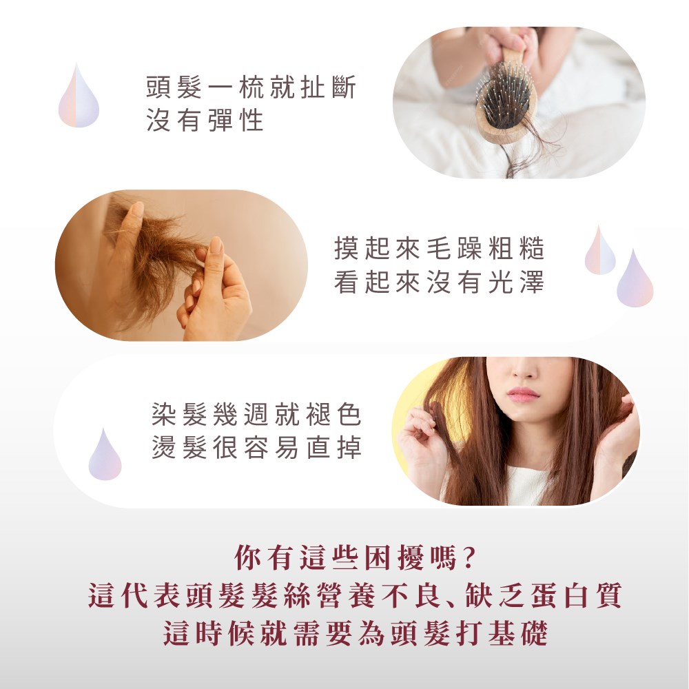 【 Venus 維娜絲專業髮品】日本原裝💯Gurosu極潤光感 燙護結構式護髮 完美維持捲度