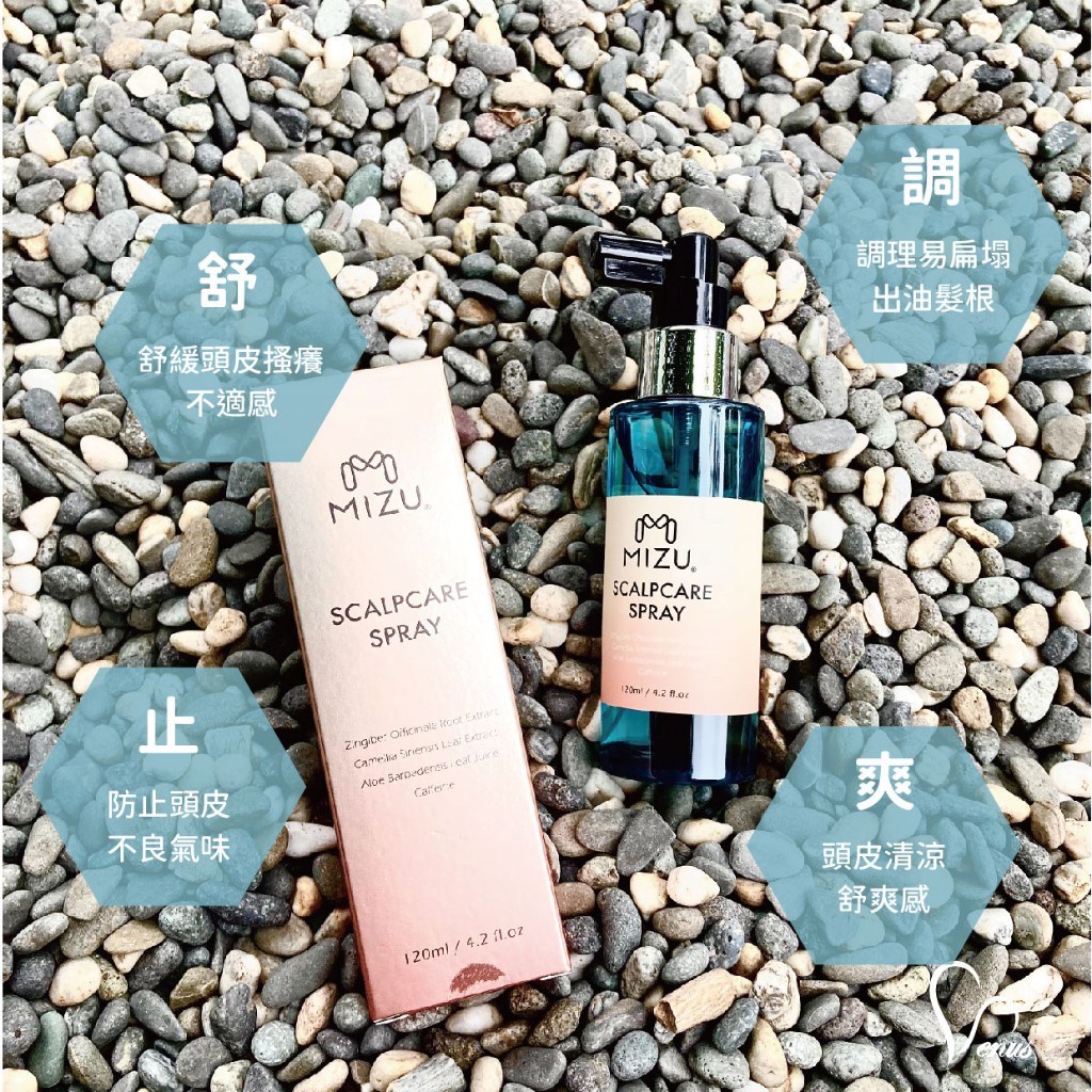 【 Venus 維娜絲專業髮品】 檸檬馬鞭草升級版容量/包裝 頭皮護理液 成分及味道不變