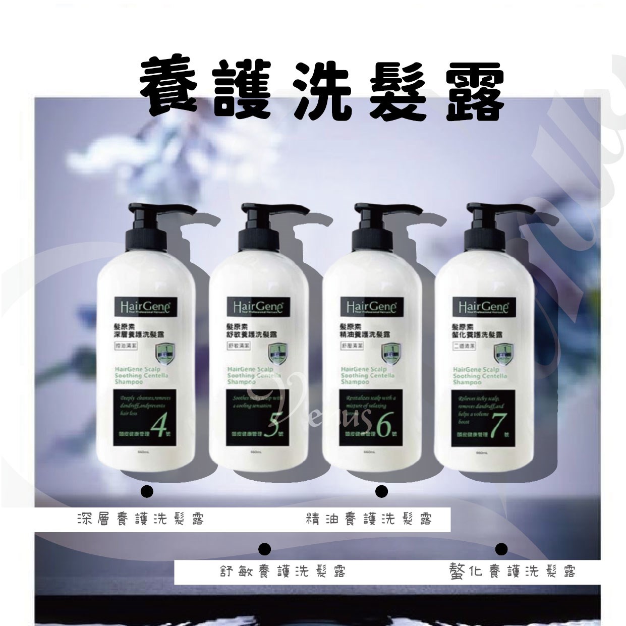 【 Venus 維娜絲專業髮品】髮原素 ✨昇髮養護三件組✨買洗髮露660ml贈黑密再生精華液120ml + 昇髮密碼精華液120m