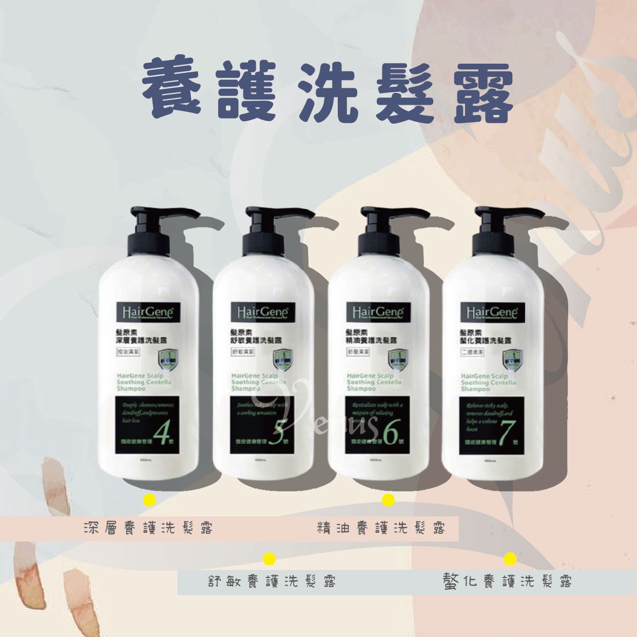 【 Venus 維娜絲專業髮品】髮原素 ✨昇髮養護三件組✨買洗髮露660ml贈黑密再生精華液120ml + 昇髮密碼精華液120m