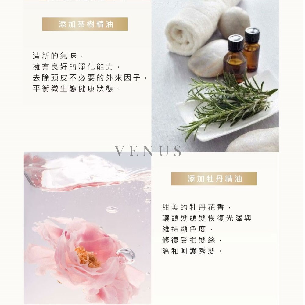 【 Venus 維娜絲專業髮品】ATINI 胺基酸植萃洗護組 茶樹精油/牡丹精油 洗護組