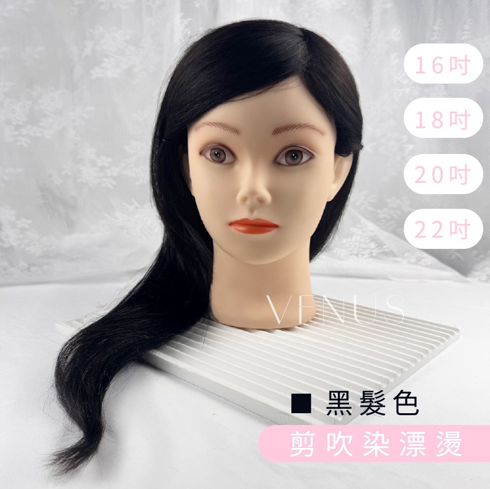 【Venus 維娜絲專業髮品】美髮沙龍級 💫維娜絲英式冠軍頭 練習頭 假頭 單人頭 頭模  現貨