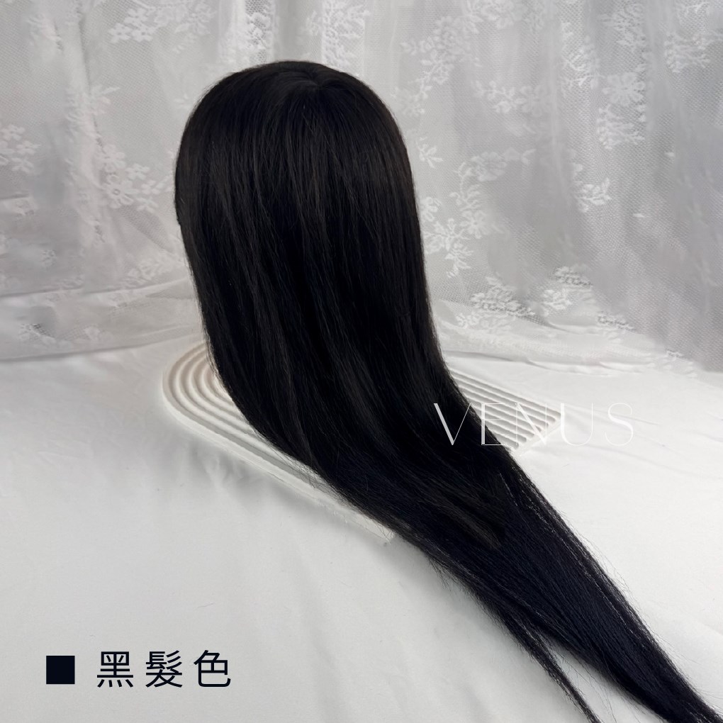 【Venus 維娜絲專業髮品】美髮沙龍級 💫維娜絲英式冠軍頭 練習頭 假頭 單人頭 頭模  現貨