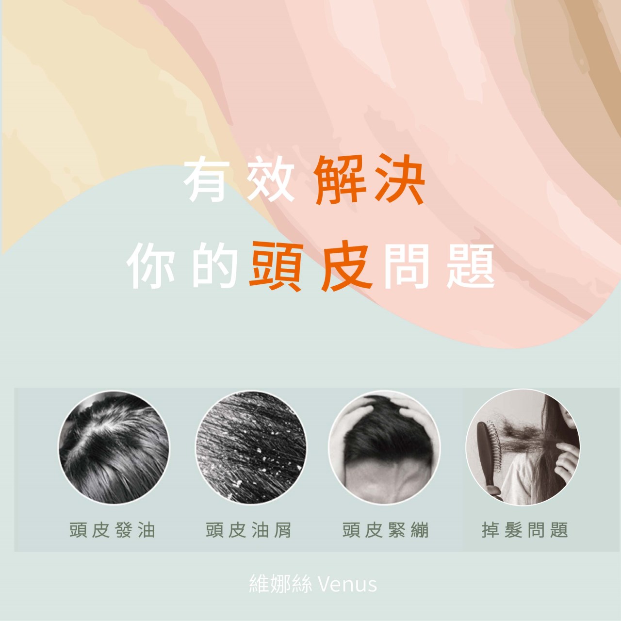 【 Venus 維娜絲專業髮品】滋養髮根精華液 髮根調理 頭皮精華液 100ml