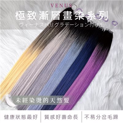 【 Venus 維娜絲專業髮品】極致漸層畫染  巴黎畫染漸層接髮 ★ 賦予髮色新的輝煌