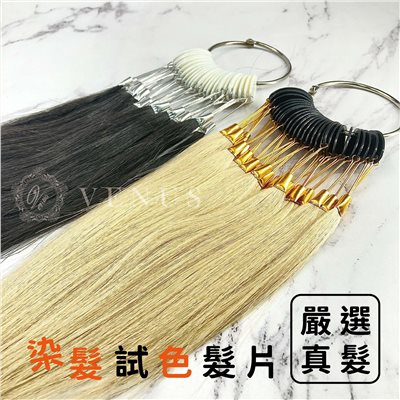 【 Venus 維娜絲專業髮品】★嚴選真髮★染髮試色髮片 染髮試色片染髮樣本 染髮顏色展示 染髮效果試片 染髮示範片